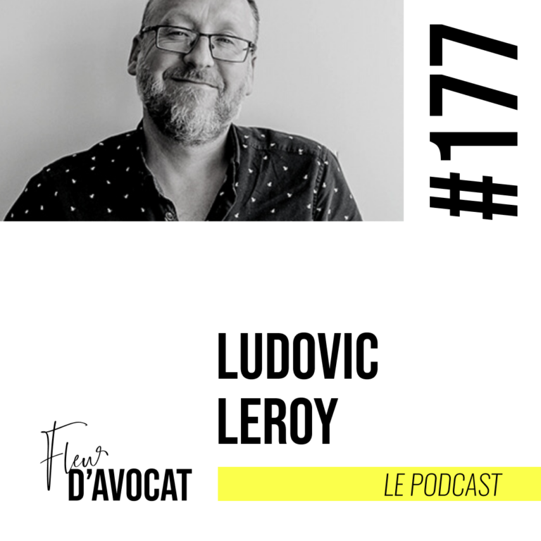 Ludovic Leroy, avocat en droit public